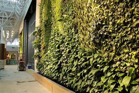 Breathing Wall Of Greenery The Benefits Of Living Green Walls