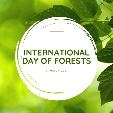 Celebrating International Day Of Forests Tandym