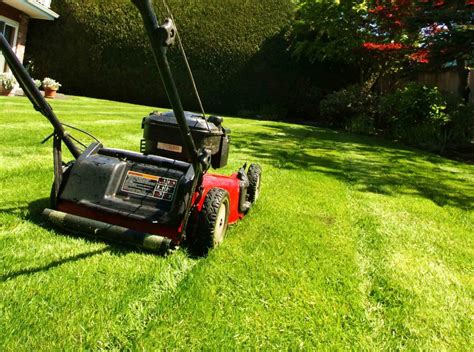 Myths Vs Reality Lawn Care And Maintenance Massey Services Inc