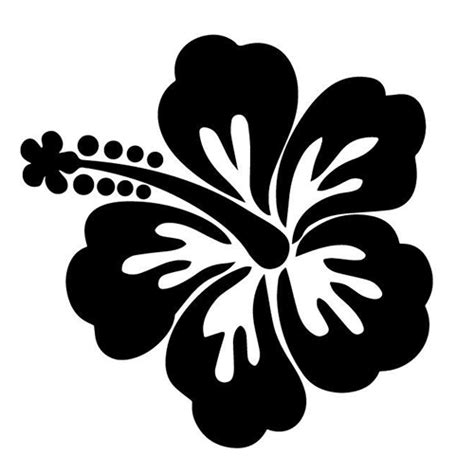 Download Hibiscus Flower Silhouette Png & Free Hibiscus Flower ...