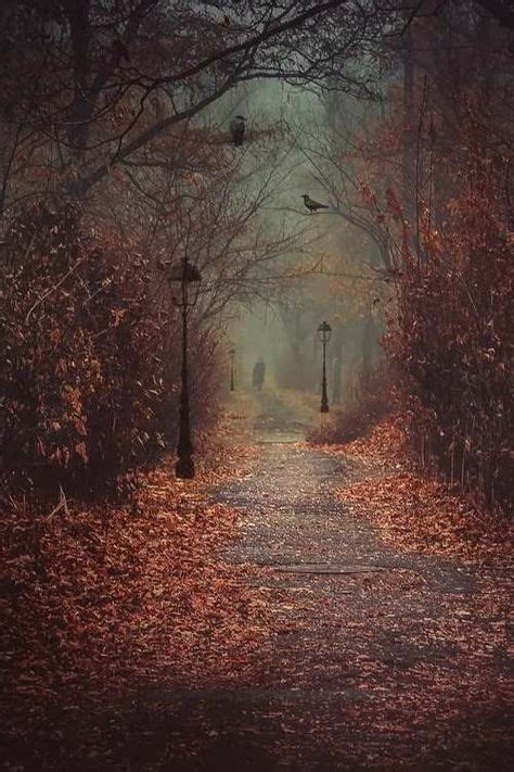 14 Dark Fall Ideas In 2021 Autumn Aesthetic Nature Photography Scenery