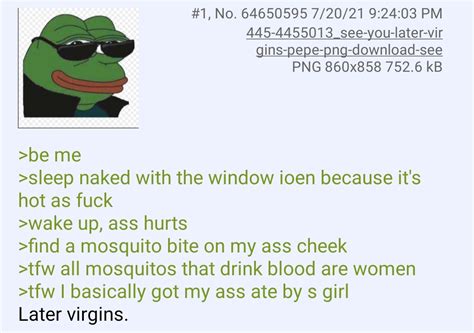 Anon Loves Mosquitoes R Greentext Greentext Stories Know Your Meme