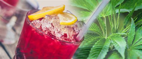 5 Non Alcoholic Cannabis Infused Drinks You Must Try