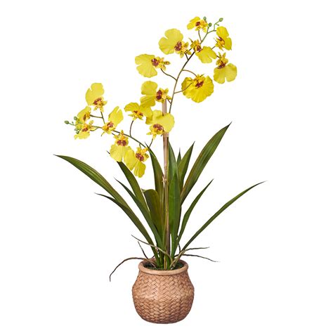 Kunstplant Orchidee Tak Geel Voor Binnengebruik Topkwaliteit Kunstplant