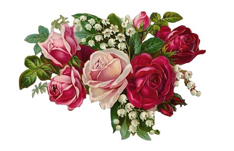 Download Rose Vintage Bouquet Royalty Free Stock Illustration Image