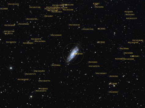 Ngc 4559 Astrodoc Astrophotography By Ron Brecher