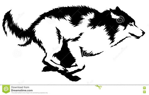 The best selection of royalty free white wolf face vector art, graphics and stock illustrations. Black And White Paint Draw Wolf Illustration Stock ...