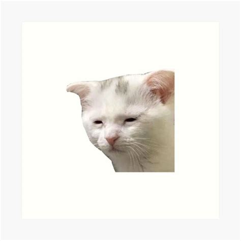 Tired Cat Meme Art Print For Sale By Twenystudio Redbubble