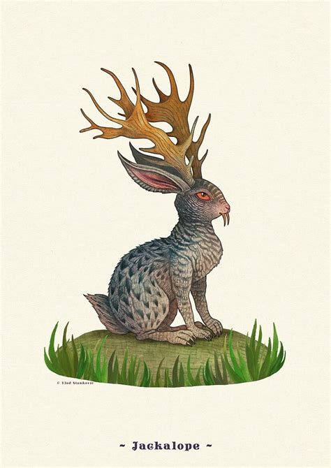 Jackalope Cryptid Art Print Etsy Australia