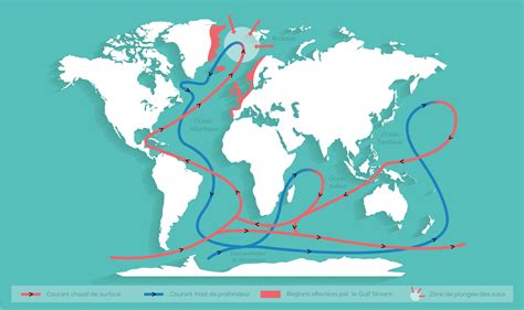 Les courants marins grands régulateurs du climat Surfrider Ocean Campus