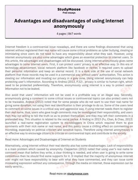 Internet Anonymity Balancing Privacy And Responsibility Free Essay Example