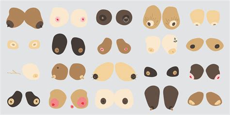 Varieties Of Boobs