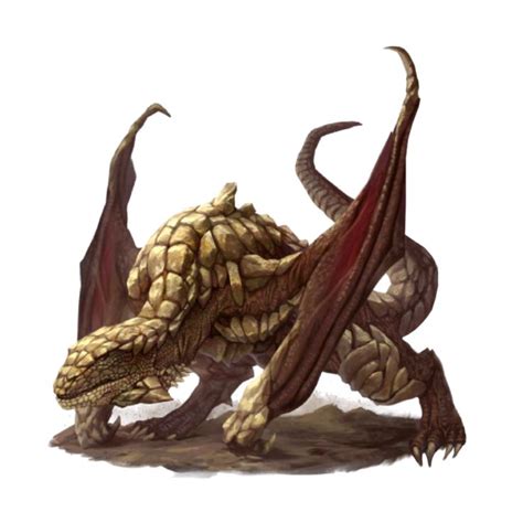 Unarmored defense is nice, and raging could be fun for a melee ranger, but only if his primary is str. Rock or Desert Drake - Pathfinder 2E PFRPG PFSRD DND D&D 3.5 4E 5E 5th ed d20 fantasy em 2020 ...
