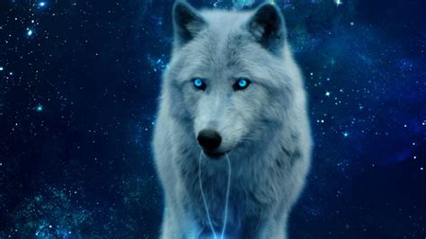 Create Meme Ice Wolves Blue Wolf Wallpaper Wolf Pictures Meme