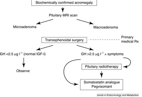 current therapy for acromegaly trends in endocrinology and metabolism