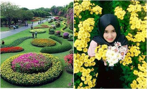 10 taman bunga terindah di indonesia ini paling ampuh meluluhkan hati cewek mau coba boombastis