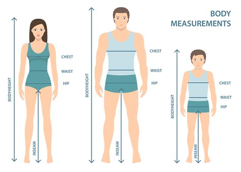 Vector illustration of man, women and boy in full length with measurement lines of body ...