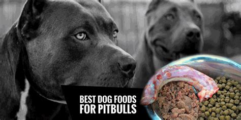 Pit bulls are usually used as family companions, in hunting and driving livestock. 4 Best Dog Foods for Pitbulls — Natural, High Protein, Low Fat