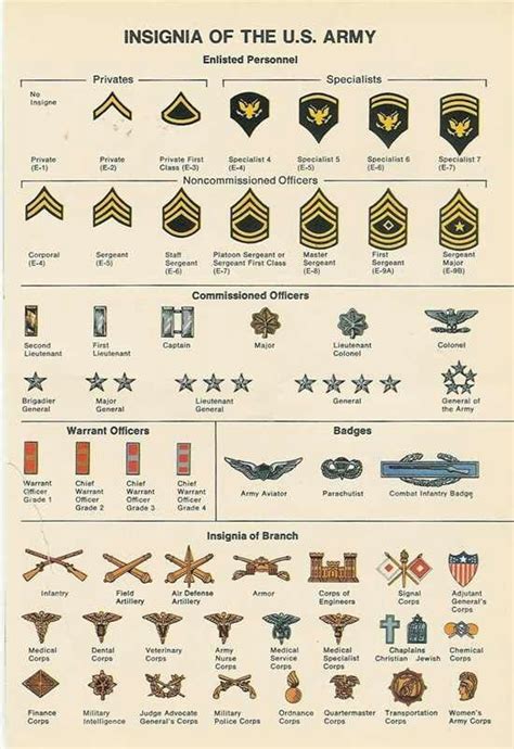 Positions Army Ranks Military Ranks Military Insignia