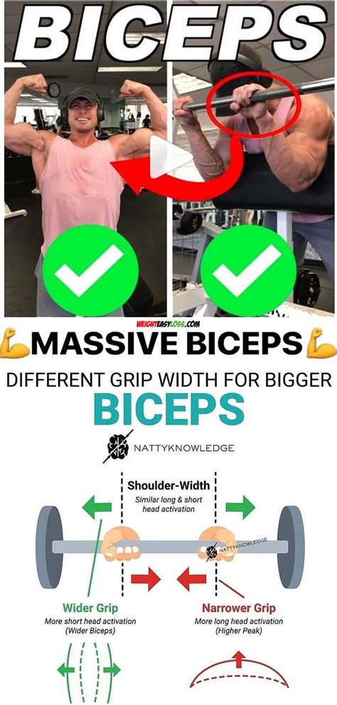 Train The Biceps Guide
