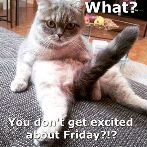 If friday was a person. 18) i 100% agree with this meme. happy friday meme that will make best weekend - Betameme