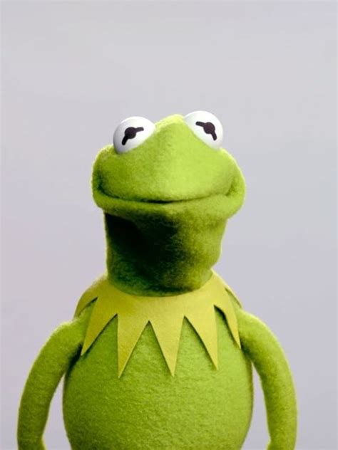 Kermit The Frog Has Got A Brand New Voice