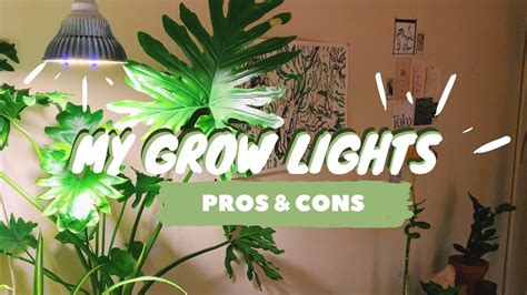 My Grow Light Setup Grow Lights For Houseplants Pros And Cons Youtube