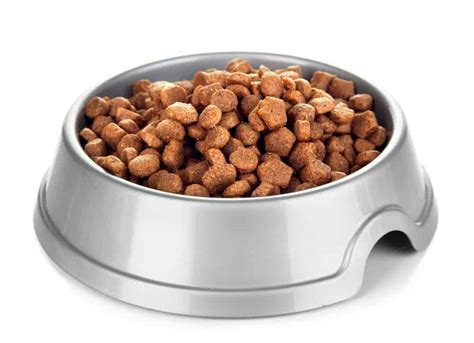 That's why we created the most. Nine Brands of Dog Food Recalled | Berger and Green Attorneys