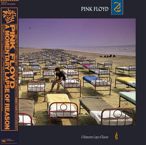 Pink Floyd A Momentary Lapse Of Reason 2017 Vinyl Discogs
