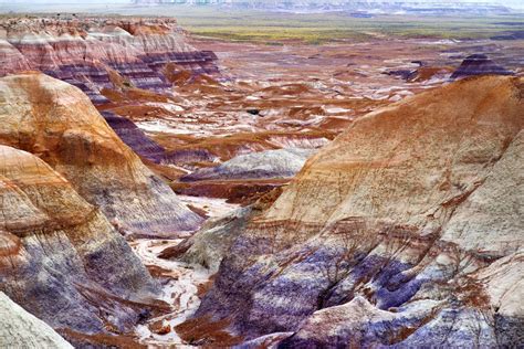 10 Amazing Facts About Petrified Forest National Park