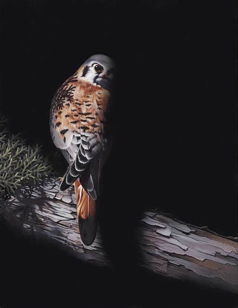 bird art selection shows  artists depict birds  art