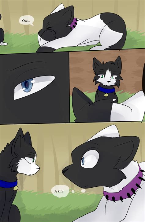 Bloodclan The Next Chapter Page 68 By Studiofelidae On Deviantart