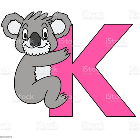 Animal Alphabet Capital Letter K Koala Illustration For Pre School