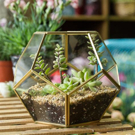 Handmade Gold Brass Tabletop Geometric Pentagon Ball Shape Open Terrarium For Fern Moss