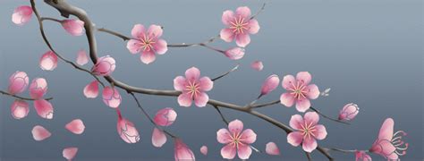 9 Best Images Of Printable Stenci Cherry Blossom Flower Printable