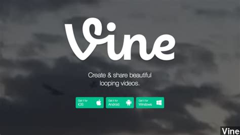 Twitter Bans Porn Videos From Vine Video