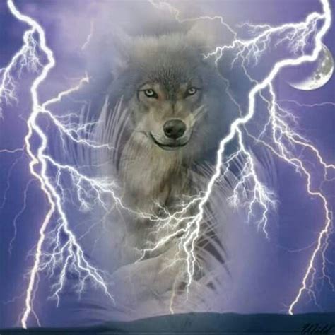 Wild Spirit Wolf Pictures Mystical Wolf Wolf Art