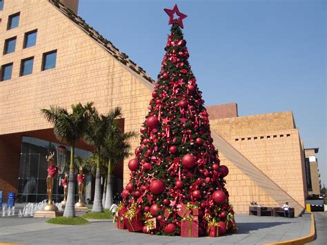 Where and what to buy, best real and artificial styles and online guide. File:Christmas Tree In Moliere Shopping Mall.jpg ...