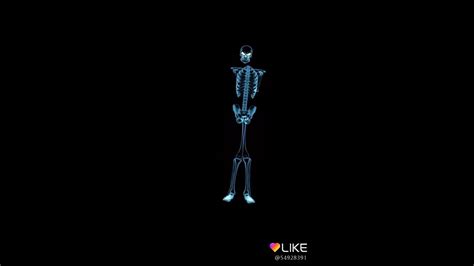 Skeleton Effect Youtube