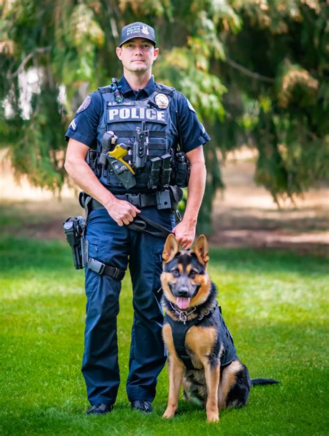 German Shepherd Police Dog Fh Information