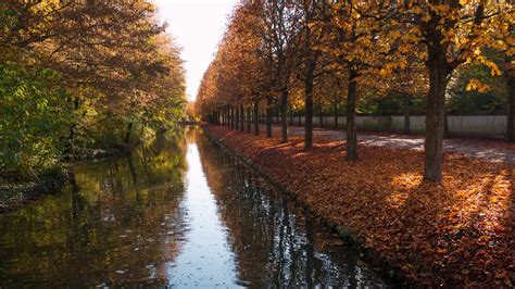 946625 Trees River Nature Fall Landscape Rare Gallery Hd Wallpapers