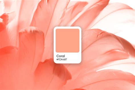 How To Design Using Pastel Colors 10 Pastel Palette Examples
