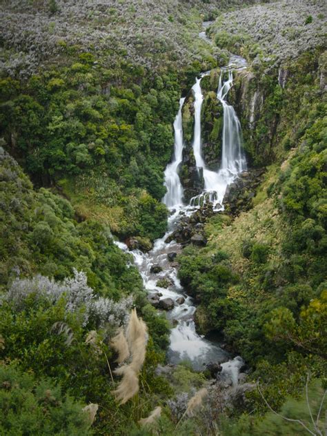 Waipunga Falls Central Plateau New Zealand Nature Waterfall New
