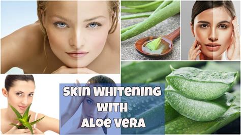 How Aloe Vera Really Effective For Skin Whitening Lets Find Out