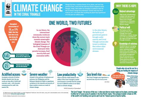 Climate Change and the Coral Triangle | Climate change infographic, Climate change, Data ...
