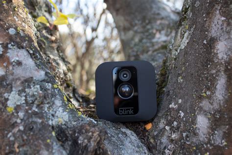 We have covered 10 of the best security surveillance a home security dvr system is the most cost effective way to protect your home or office. Blink's newest security camera can be hidden in a tree ...