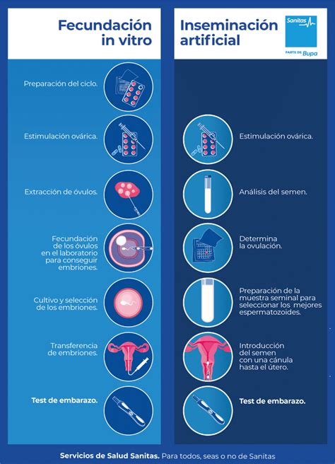 Cómo es el proceso de la fecundación in vitro Portal de salud