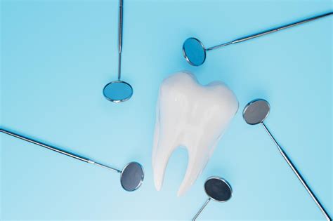 The Functions Of Molars And Wisdom Teeth Elwood Dental Group