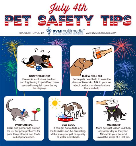 July 4th Pet Safety Pictures Photos And Images For Facebook Tumblr