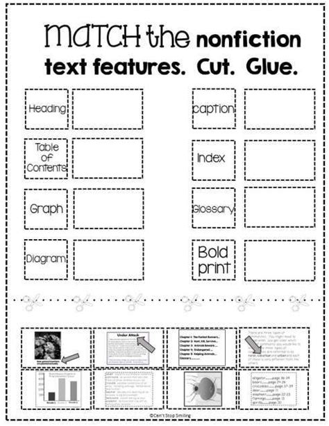 Text And Graphic Features Worksheets